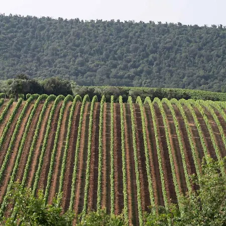 Baia Degli Ulivi Massa Marittima