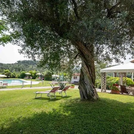 Baia Degli Ulivi Farm stay Massa Marittima