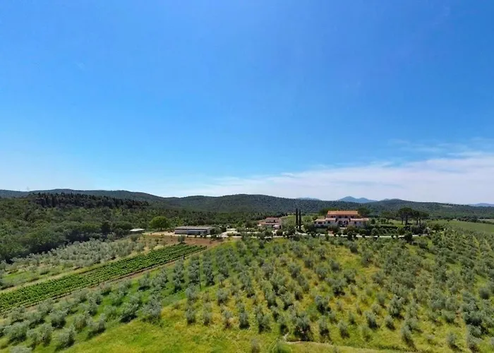 Baia Degli Ulivi * מאסה מריטימה